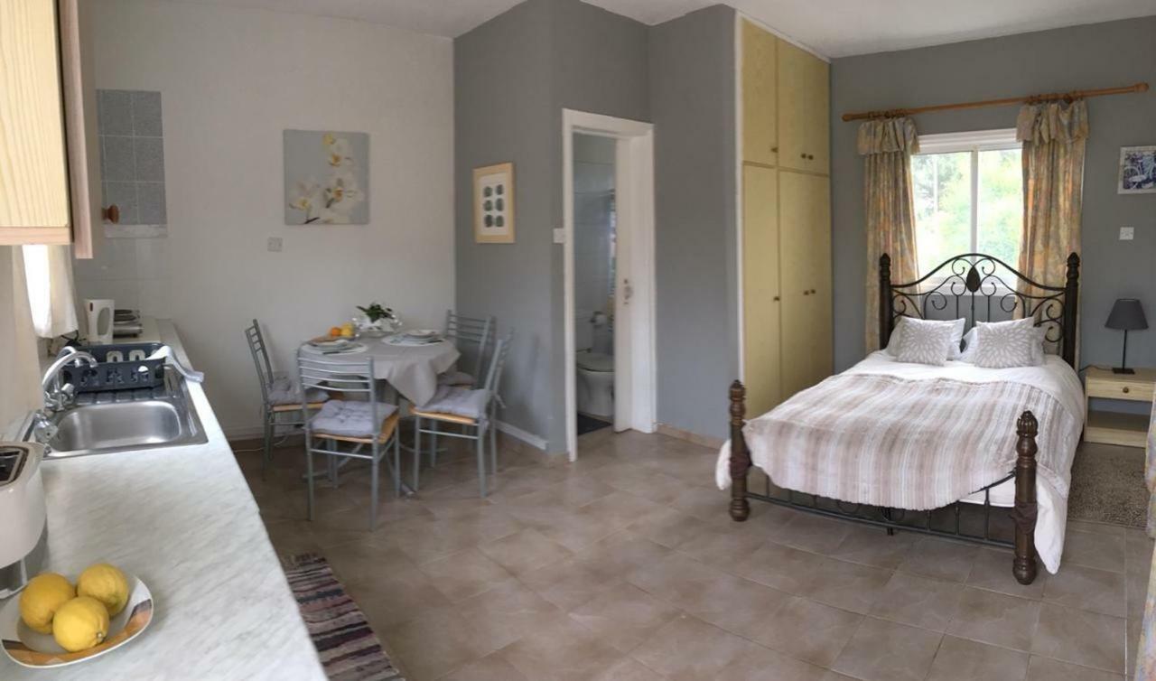 Detached Cozy Studio Paralimni Buitenkant foto